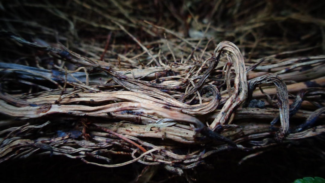 De juiste beauty-routines bij een droge huid rondom de mond