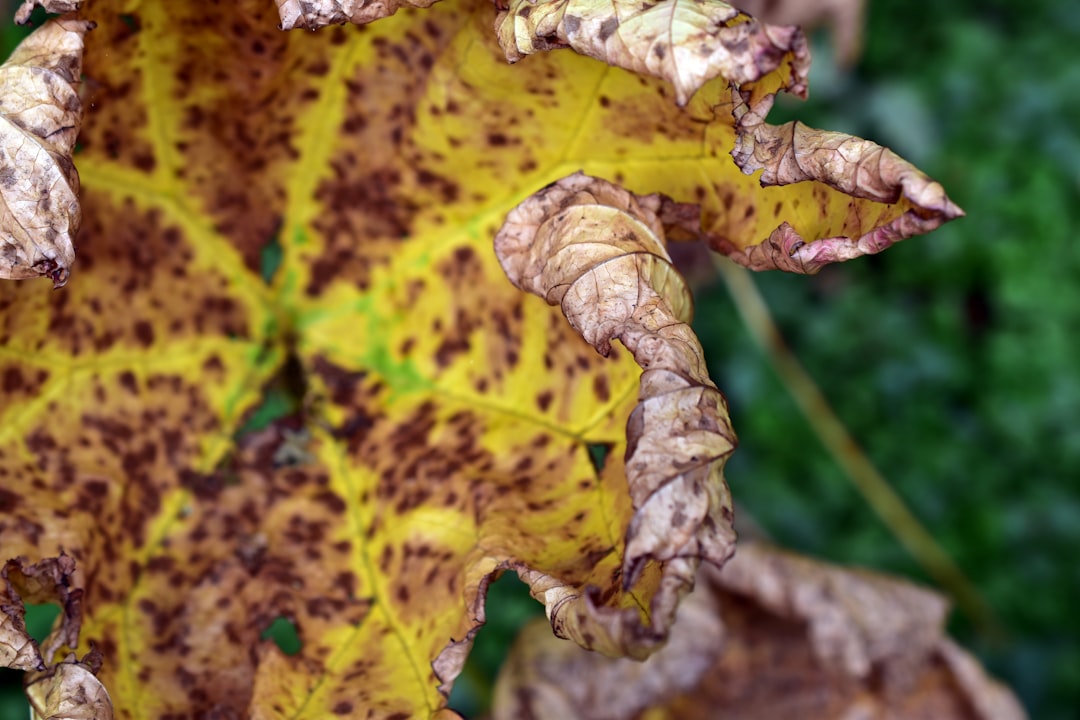 Rode bultjes en jeuk na zwemmen: zo voorkom je chloor uitslag