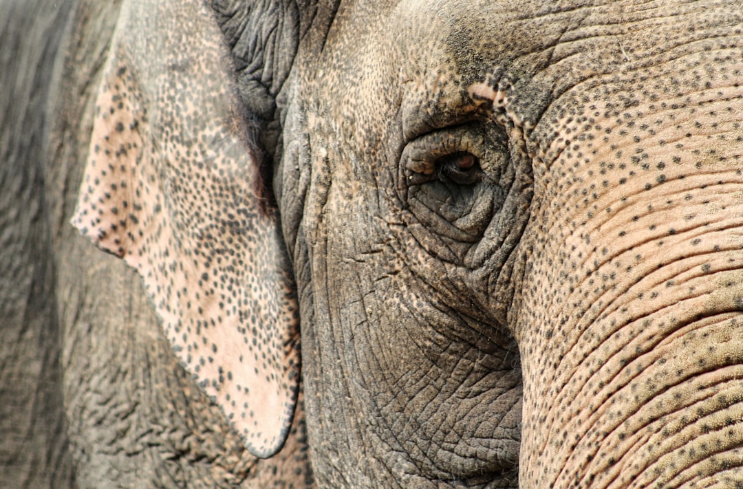 Handige tips van oma voor rimpels boven de bovenlip