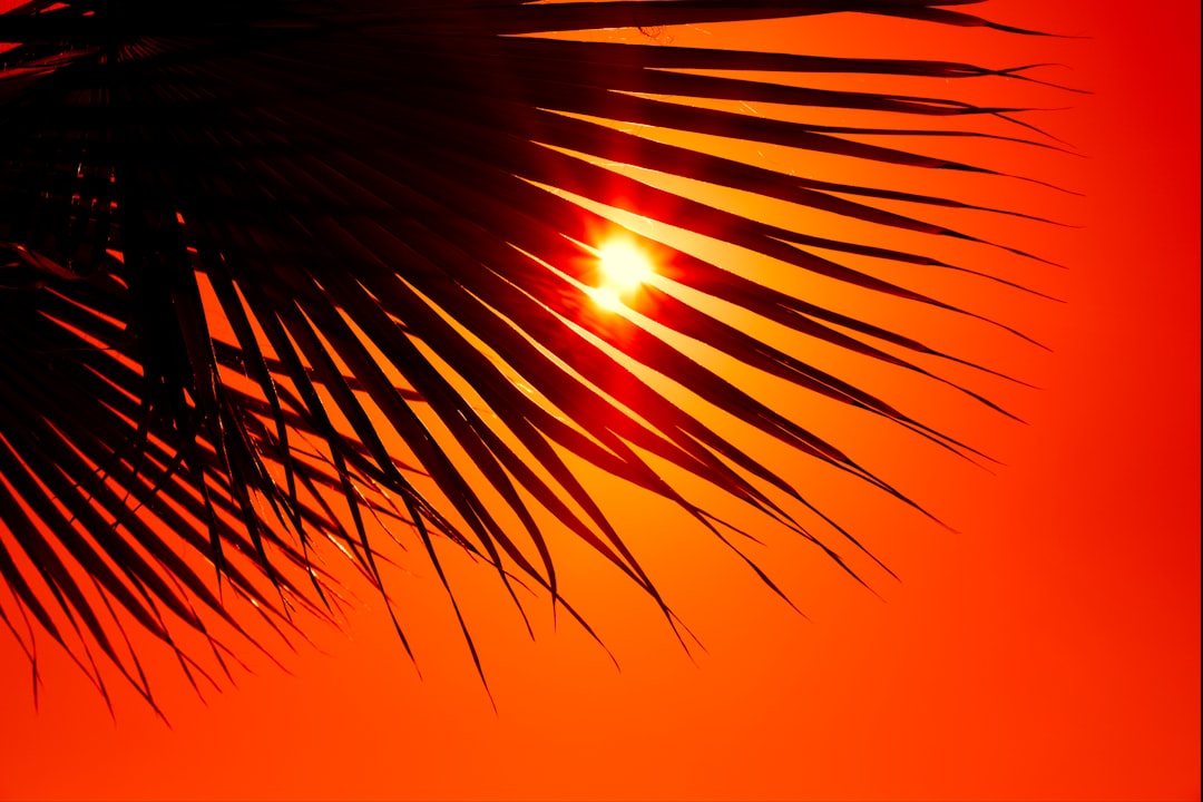 Als je huid brandt: oorzaken, wat je voelt en wat je kunt doen